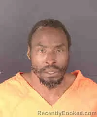 Recent Mugshot Image for FREDRICK BERNARD NEWTON in Sarasota County, Florida