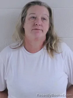 Recent Mugshot Image for LISHA ANN CLANTZ in Ashland County, Ohio