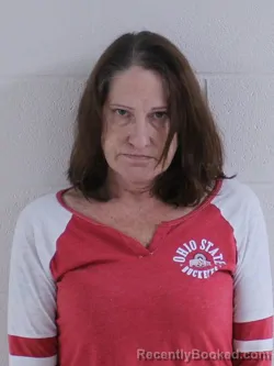 Recent Mugshot Image for ERICA CAMELLE CHANEY LAUGHBAUM in Ashland County, Ohio