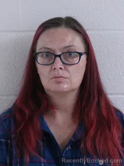 Recent Mugshot Image for CRYSTAL LEE MAYNARD in Ashland County, Ohio