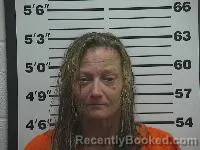 Recent Mugshot Image for Heather Renee Owens in Belmont County, Ohio