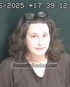 Recent Mugshot Image for CHASITY MICHELLE DALTON in Brown County, Ohio