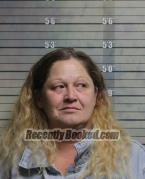 Recent Mugshot Image for MICHELLE DAWN STOUT in Butler County, Ohio