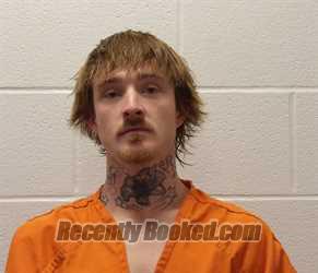Recent Mugshot Image for NATHAN DAVID SPRIGGS in Coshocton County, Ohio