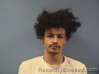 Recent Mugshot Image for Sky Barlow in Erie County, Ohio