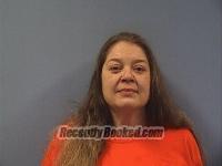 Recent Mugshot Image for Poppy Lynn Vincent in Erie County, Ohio