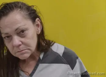 Recent Mugshot Image for ANNETTE M KIMBALL in Fairfield County, Ohio