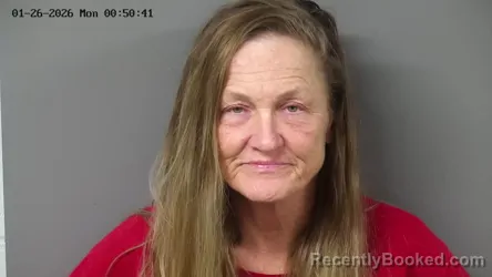 Recent Mugshot Image for TERRI LYNN RUTH in Fayette County, Ohio