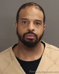 Recent Mugshot Image for DOMINIQUE M CATTLEDGE in Franklin County, Ohio