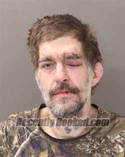 Recent Mugshot Image for DAVID W YANNIE in Franklin County, Ohio