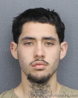 Recent Mugshot Image for ANDY MONTES DE OCA in Broward County, Florida