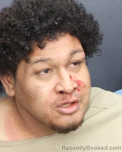 Recent Mugshot Image for IVIS GERALDO RAUDALES in Broward County, Florida