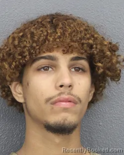 Recent Mugshot Image for BRANDON M MAINER in Broward County, Florida