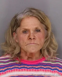 Recent Mugshot Image for PENNY LAMKIN in Hamilton County, Ohio