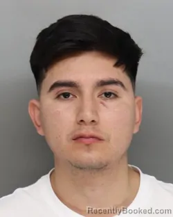 Recent Mugshot Image for ANDERSSON SALTOS in Hamilton County, Ohio