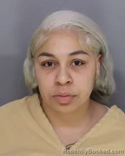 Recent Mugshot Image for TISCHELLE JOHNSON in Hamilton County, Ohio