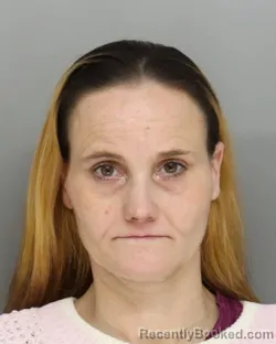 Recent Mugshot Image for STACEY HEUER in Hamilton County, Ohio