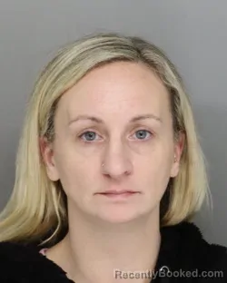 Recent Mugshot Image for MELINDA WENDLING-ANDERSON in Hamilton County, Ohio