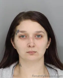 Recent Mugshot Image for JORDAN RIGGS in Hamilton County, Ohio