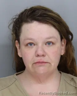 Recent Mugshot Image for CRYSTAL HUDDLESTON in Hamilton County, Ohio
