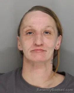Recent Mugshot Image for MISTY WATSON in Hamilton County, Ohio