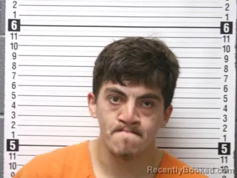 Recent Mugshot Image for IZIAH DANIEL HENERY in Hardin County, Ohio