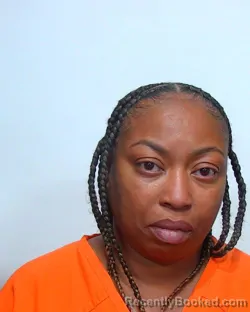 Recent Mugshot Image for BARBARA ANN THOMAS in Suwannee County, Florida