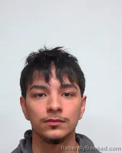 Recent Mugshot Image for DIEGO REY CERRITO-HERNANDEZ in Suwannee County, Florida
