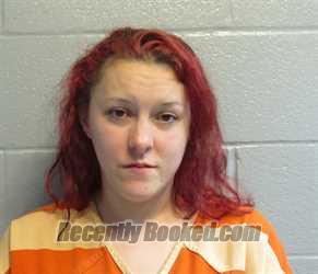 Recent Mugshot Image for EMILY CHRISTINE NIEDERMEIER in Huron County, Ohio