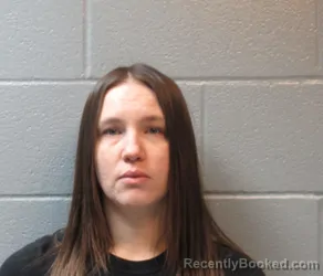 Recent Mugshot Image for KAYLA MARIE LOVE in Huron County, Ohio