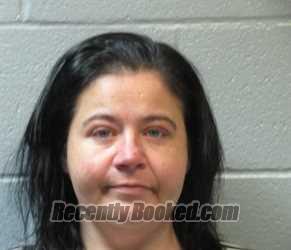 Recent Mugshot Image for CALLIE NICHOLE LOONEY in Huron County, Ohio