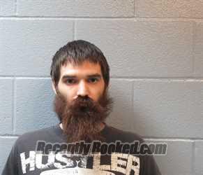 Recent Mugshot Image for DONAVON MICHAEL TINKHAM in Huron County, Ohio