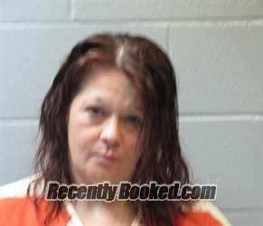 Recent Mugshot Image for ASHLEY NICOLE DEPINET in Huron County, Ohio