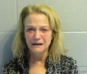 Recent Mugshot Image for MICHELLE ANN LAKE in Huron County, Ohio