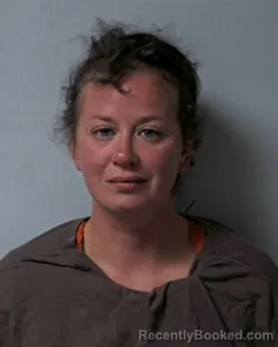 Recent Mugshot Image for KELLYE CHRISTINE GALLANT in Logan County, Ohio