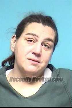 Recent Mugshot Image for DIA MICHELLE LANDI in Lorain County, Ohio