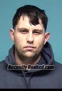 Recent Mugshot Image for RYAN L BURTON in Lorain County, Ohio