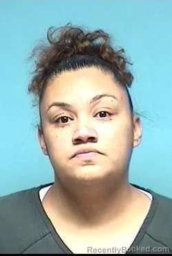 Recent Mugshot Image for DEANNA M LOVEJOY in Lorain County, Ohio