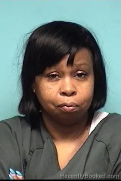 Recent Mugshot Image for SHAWNTE MARIE LONG in Lorain County, Ohio