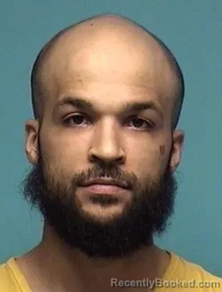 Recent Mugshot Image for SHAYNE A BRIDGES in Lorain County, Ohio