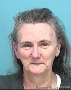 Recent Mugshot Image for DIANA M LAFFERTY in Lorain County, Ohio