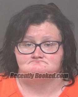 Recent Mugshot Image for DANIELLE LEA PHILLIPS in Muskingum County, Ohio