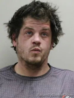 Recent Mugshot Image for AUSTIN KEITH COYNE GROGG in Paulding County, Ohio