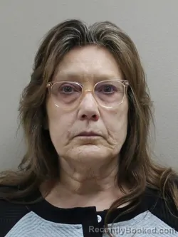 Recent Mugshot Image for ANNA M CONLEY in Paulding County, Ohio