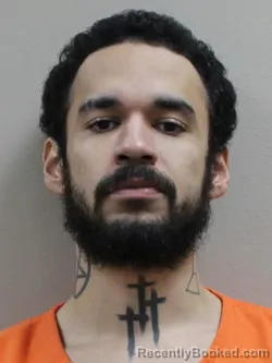 Recent Mugshot Image for TRENT LEVI WELLS in Paulding County, Ohio
