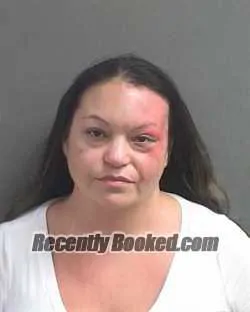 Recent Mugshot Image for LIZA JACINTA DOMINGUEZ in Volusia County, Florida