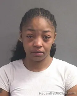 Recent Mugshot Image for BRIANNA JA'LISSA SOL in Volusia County, Florida