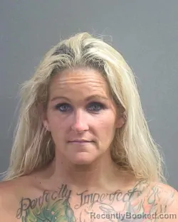 Recent Mugshot Image for MEGAN JEANNE NETTLES in Volusia County, Florida