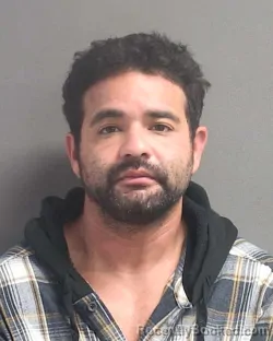 Recent Mugshot Image for ALI CEASAR TIRADO in Volusia County, Florida