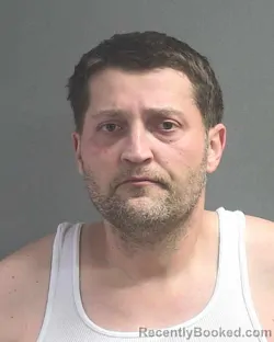 Recent Mugshot Image for JOHN HANNA in Volusia County, Florida